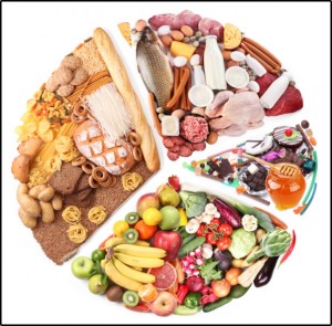 circle of food divided into food groups