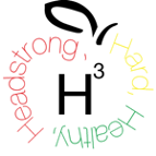 H3